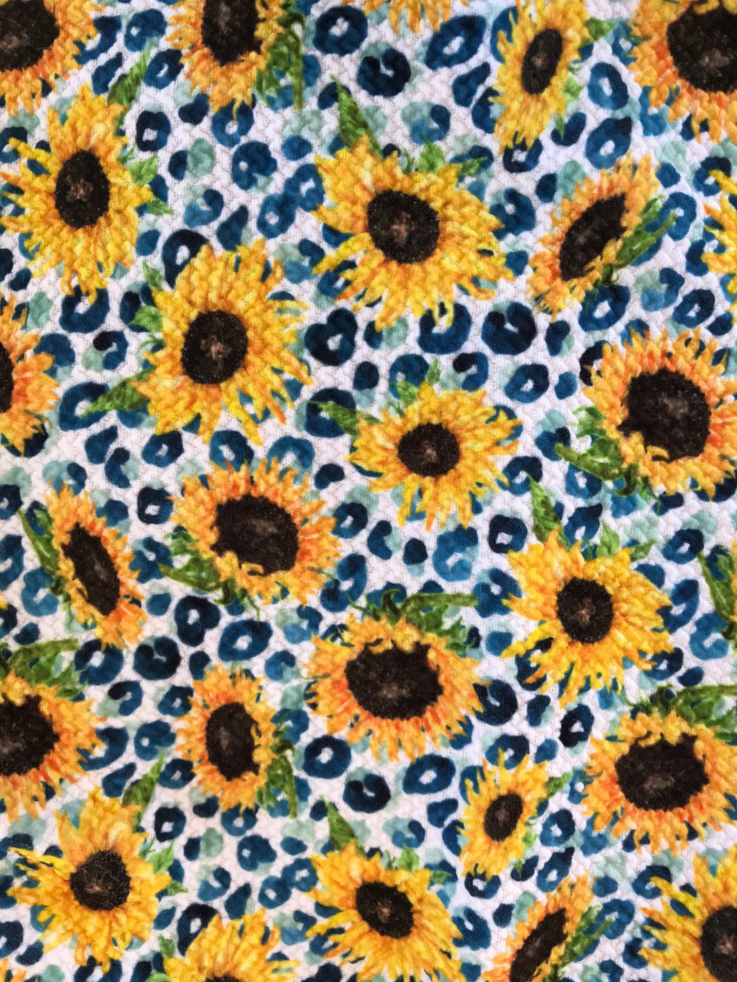 Sunflower Blue Cheetah